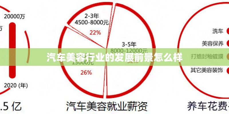 汽车美容行业的发展前景怎么样