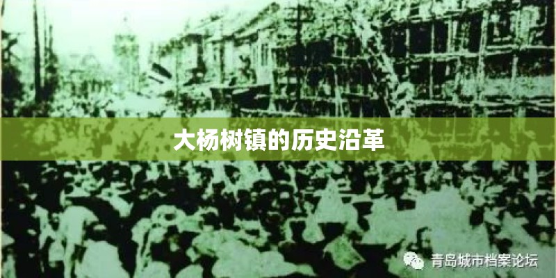 大杨树镇的历史沿革