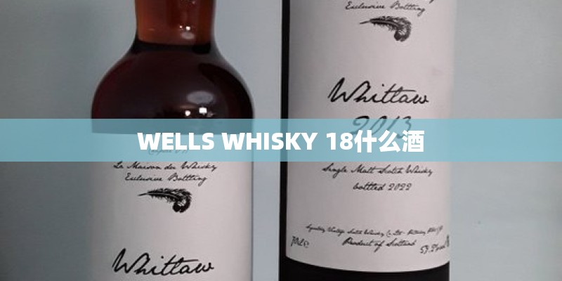 WELLS WHISKY 18什么酒