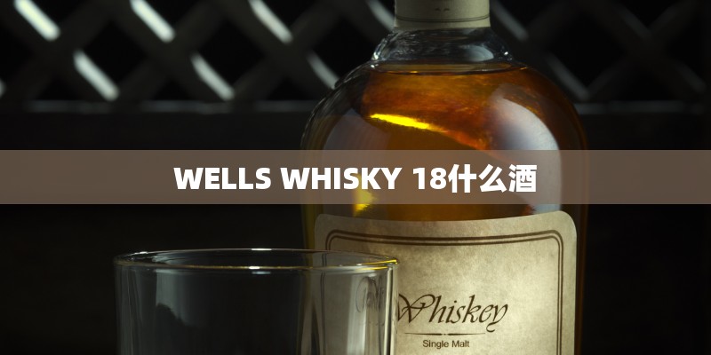 WELLS WHISKY 18什么酒