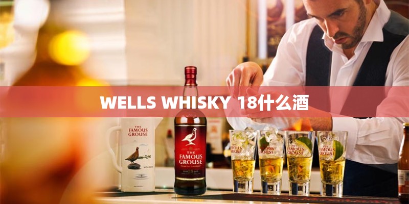 WELLS WHISKY 18什么酒