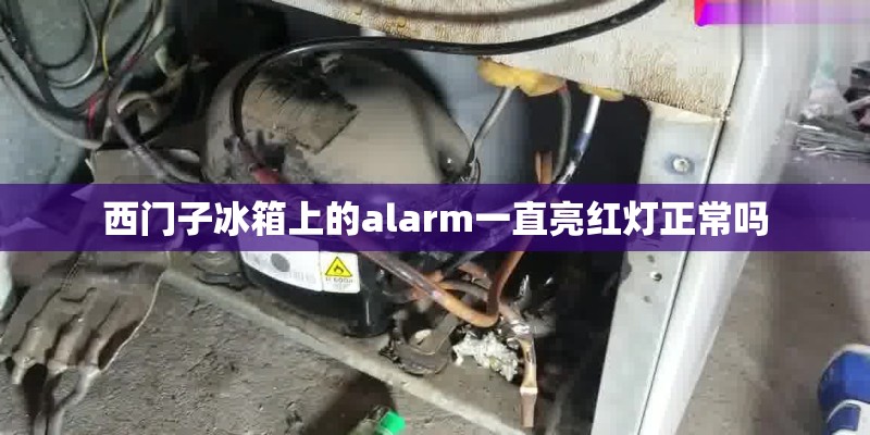 西门子冰箱上的alarm一直亮红灯正常吗