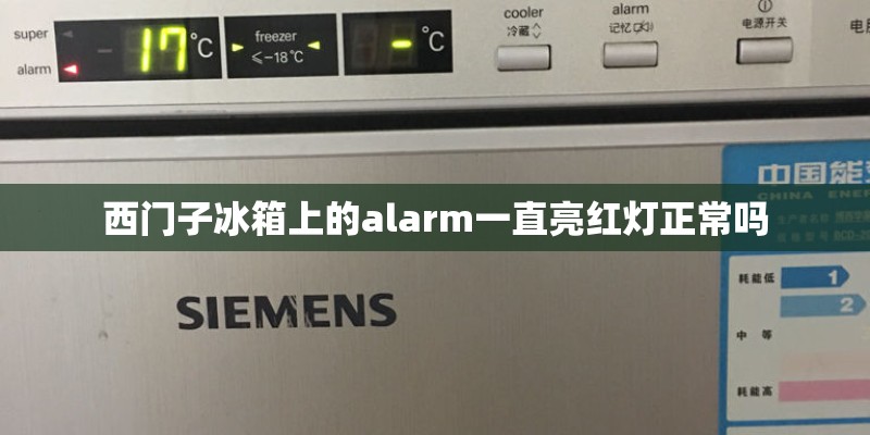 西门子冰箱上的alarm一直亮红灯正常吗