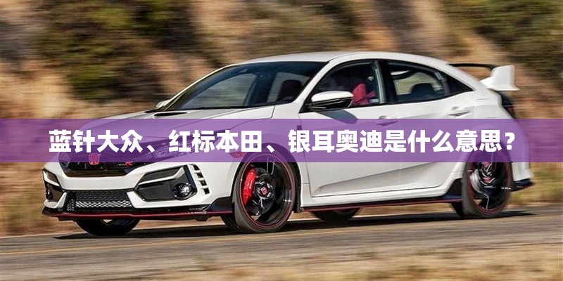 蓝针大众、红标本田、银耳奥迪是什么意思？