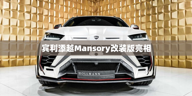宾利添越Mansory改装版亮相