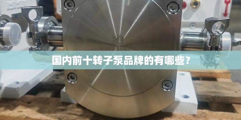 国内前十转子泵品牌的有哪些？