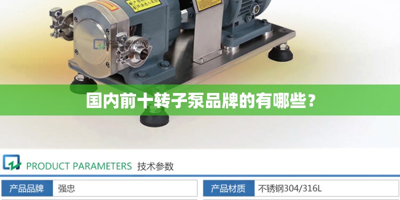 国内前十转子泵品牌的有哪些？