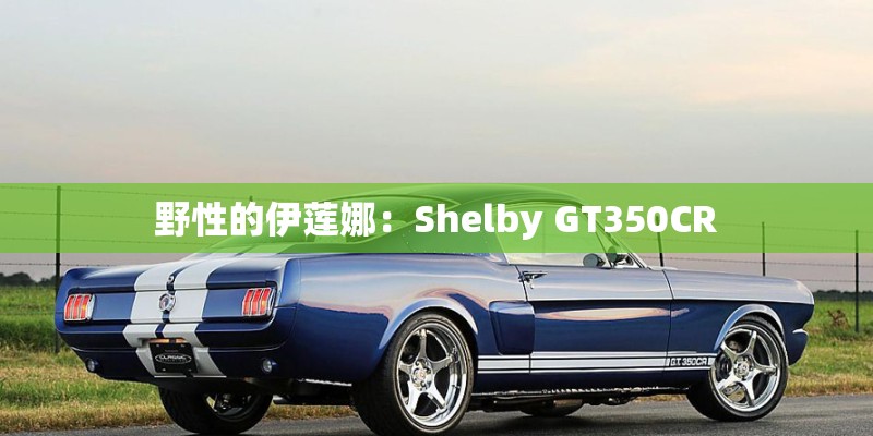 野性的伊莲娜：Shelby GT350CR