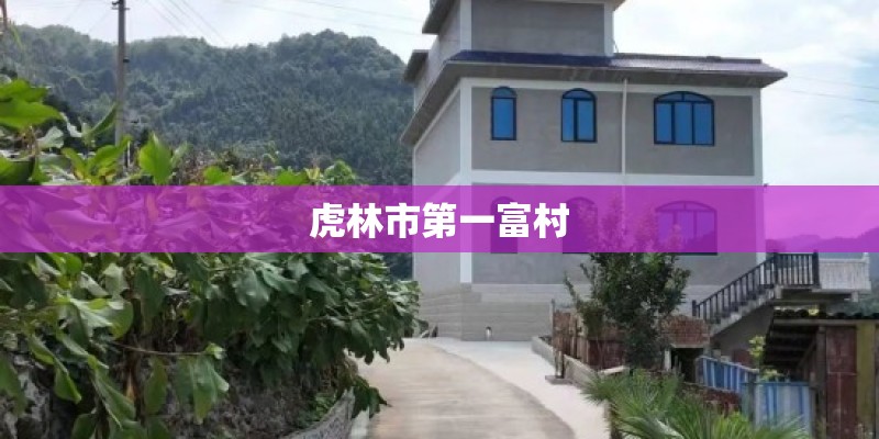 虎林市第一富村