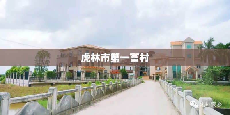 虎林市第一富村
