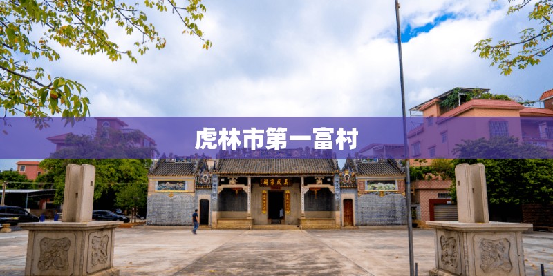 虎林市第一富村