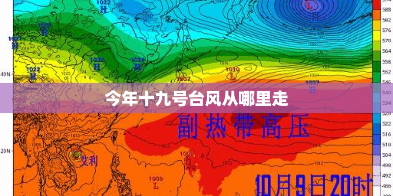 今年十九号台风从哪里走