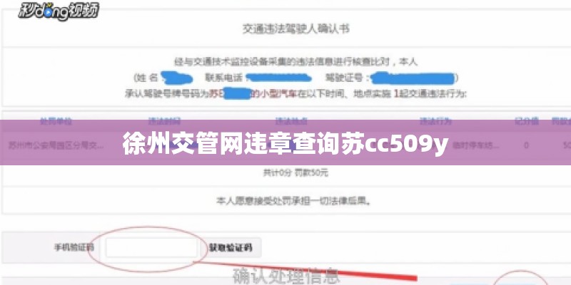 徐州交管网违章查询苏cc509y