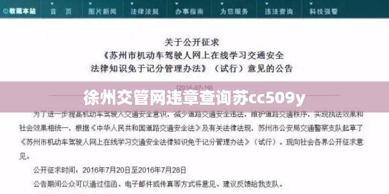 徐州交管网违章查询苏cc509y