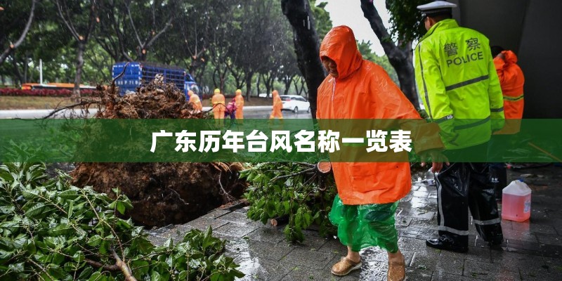 广东历年台风名称一览表