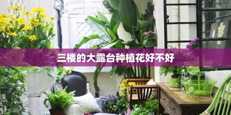 三楼的大露台种植花好不好