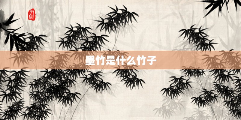 墨竹是什么竹子