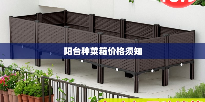 阳台种菜箱价格须知