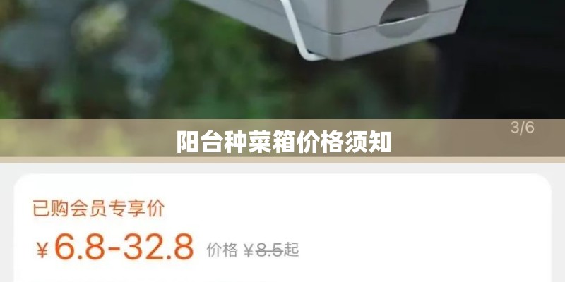 阳台种菜箱价格须知
