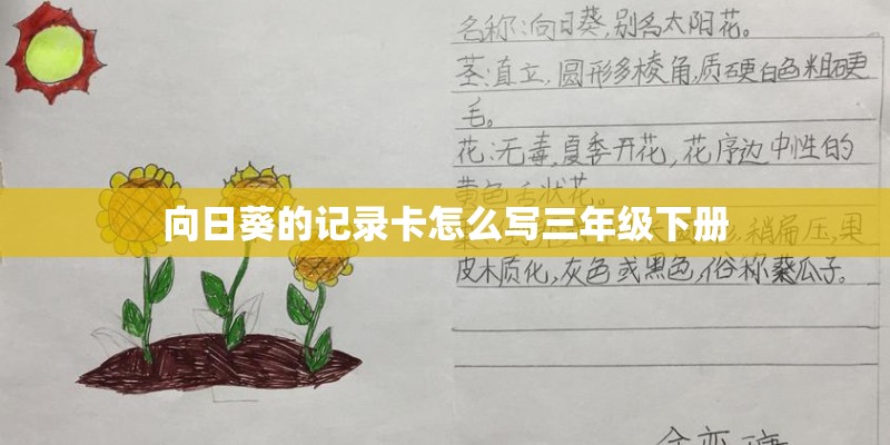 向日葵的记录卡怎么写三年级下册
