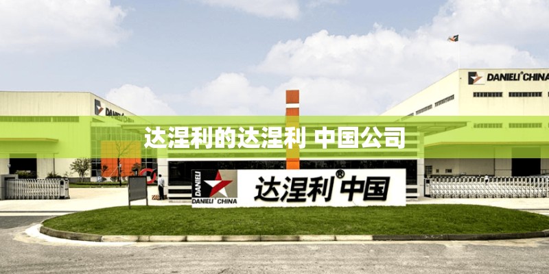 达涅利的达涅利 中国公司