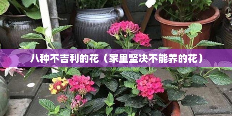 八种不吉利的花（家里坚决不能养的花）