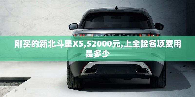 刚买的新北斗星X5,52000元,上全险各项费用是多少