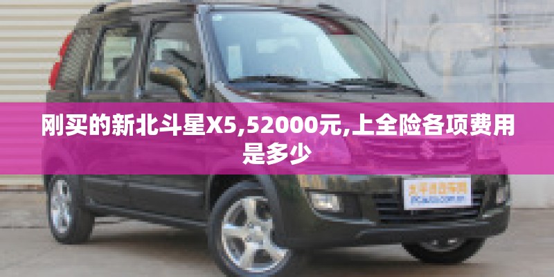 刚买的新北斗星X5,52000元,上全险各项费用是多少