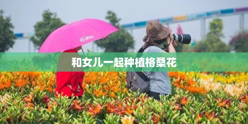 和女儿一起种植格桑花