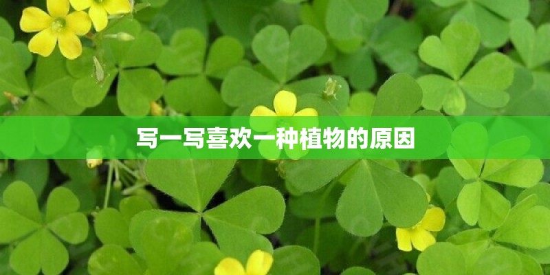 写一写喜欢一种植物的原因