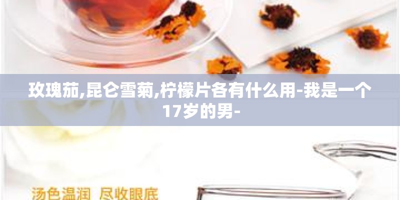 玫瑰茄,昆仑雪菊,柠檬片各有什么用-我是一个17岁的男-