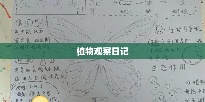 植物观察日记