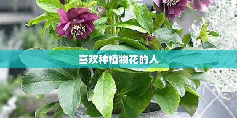 喜欢种植物花的人