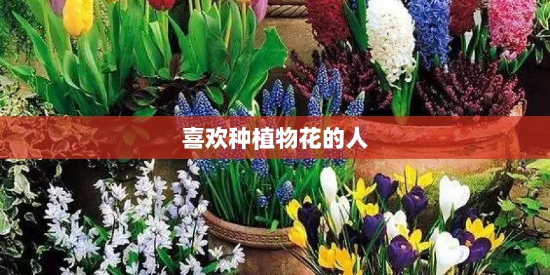 喜欢种植物花的人