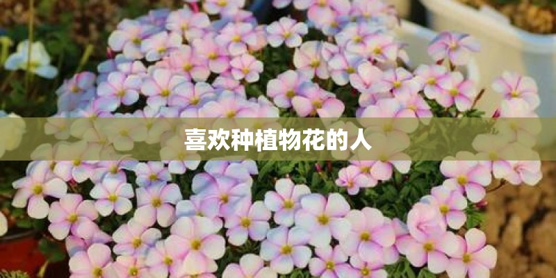 喜欢种植物花的人