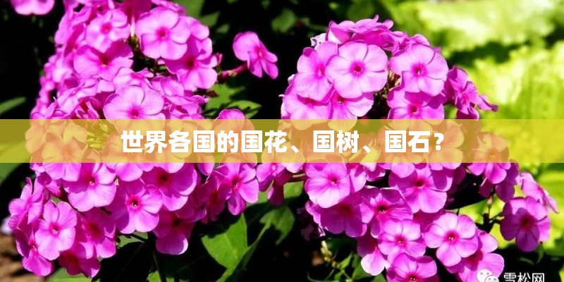 世界各国的国花、国树、国石？