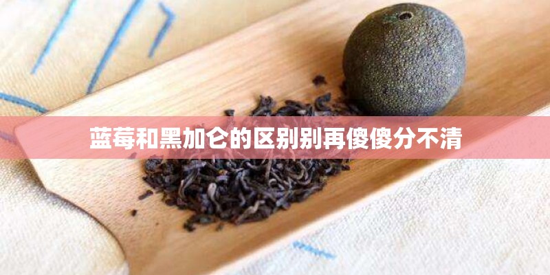 蓝莓和黑加仑的区别别再傻傻分不清