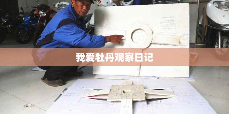 我爱牡丹观察日记