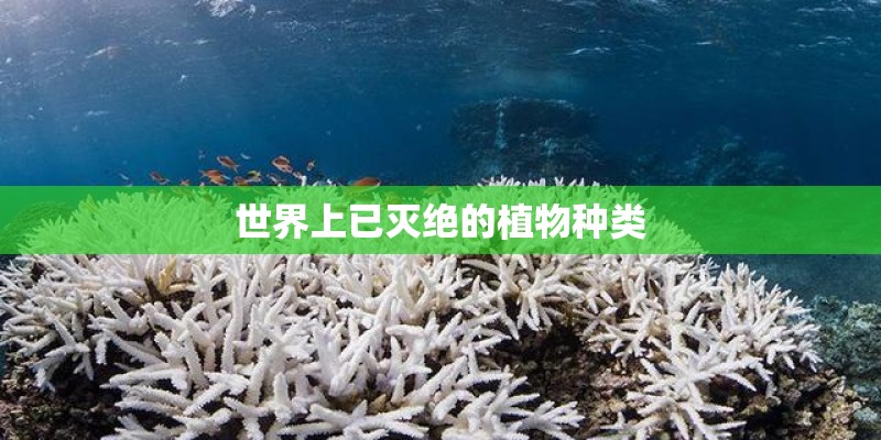 世界上已灭绝的植物种类