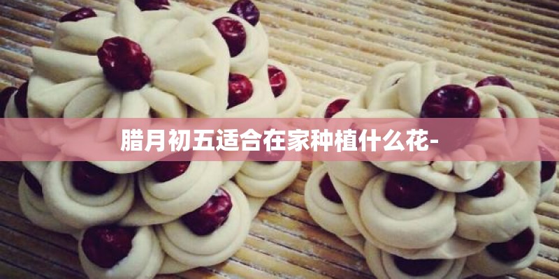腊月初五适合在家种植什么花-