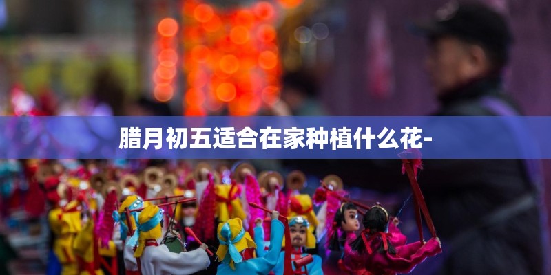 腊月初五适合在家种植什么花-