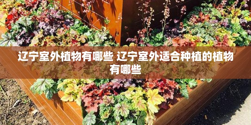 辽宁室外植物有哪些 辽宁室外适合种植的植物有哪些