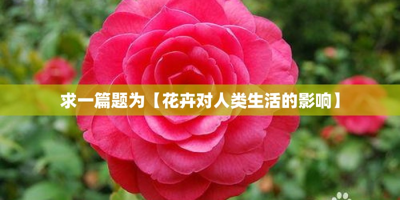 求一篇题为【花卉对人类生活的影响】
