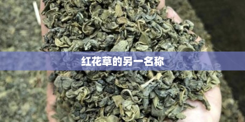 红花草的另一名称