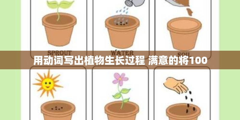 用动词写出植物生长过程 满意的将100