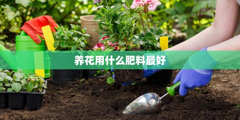 养花用什么肥料最好