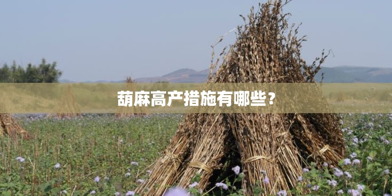 葫麻高产措施有哪些? 葫麻高产措施有哪些?