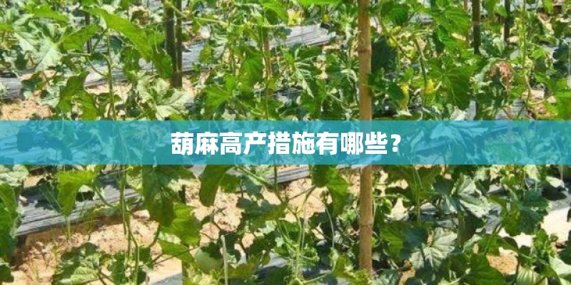 葫麻高产措施有哪些? 葫麻高产措施有哪些?