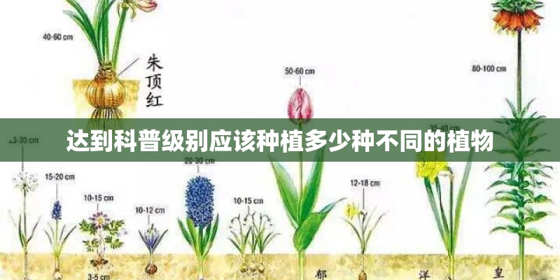 达到科普级别应该种植多少种不同的植物