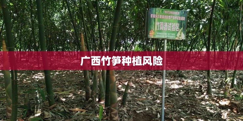 广西竹笋种植风险 广西竹笋种植风险